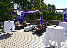 DREAM VISION FUNDRAISER FOR JAPAN RELIEF AT THE MATTHEWS WINERY